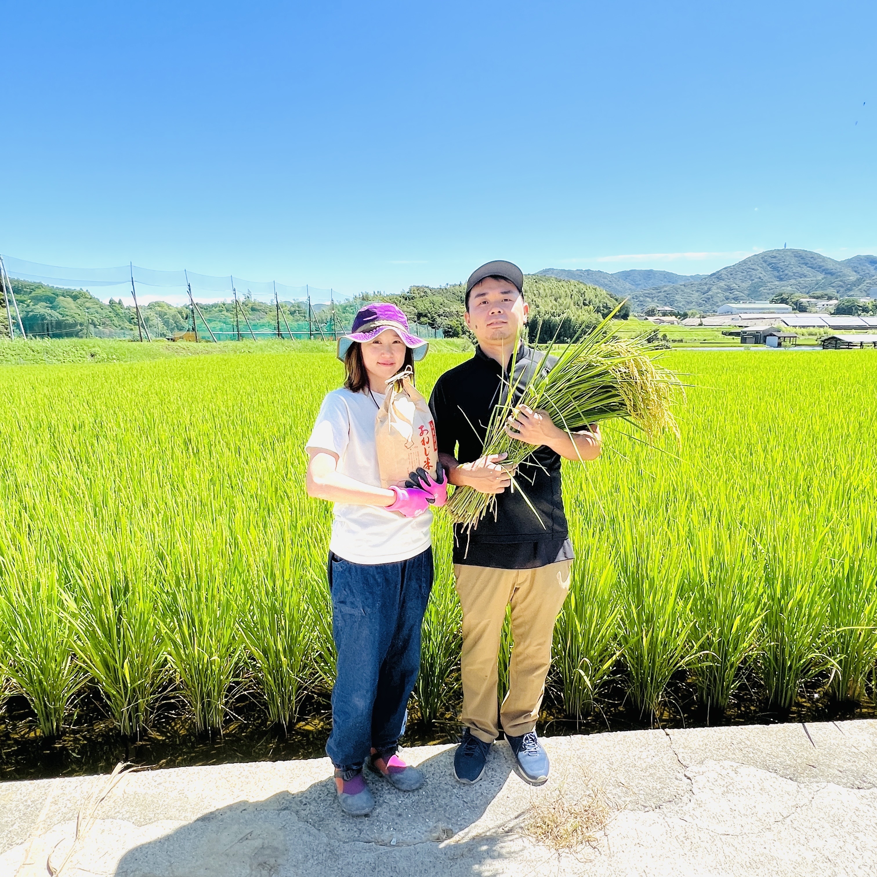 モチモチ食感 淡路島奈良農園ひのひかり 5kg紙袋