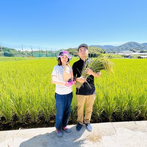 モチモチ食感　淡路島奈良農園ひのひかり
