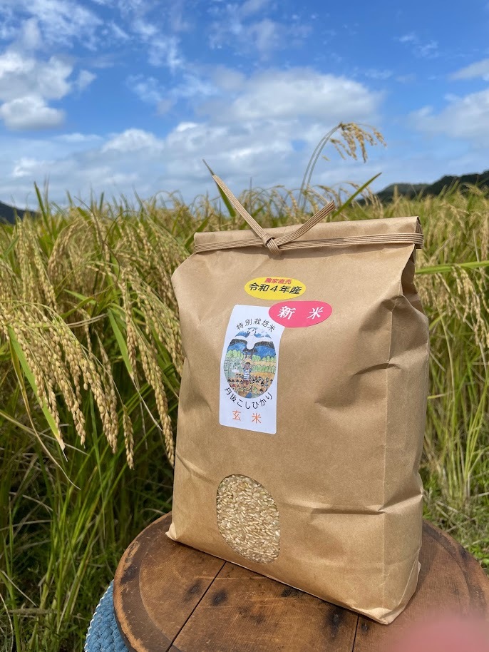 玄米５K~ R５新米特別栽培米 京都丹後こしひかり ｜米・穀類の商品詳細