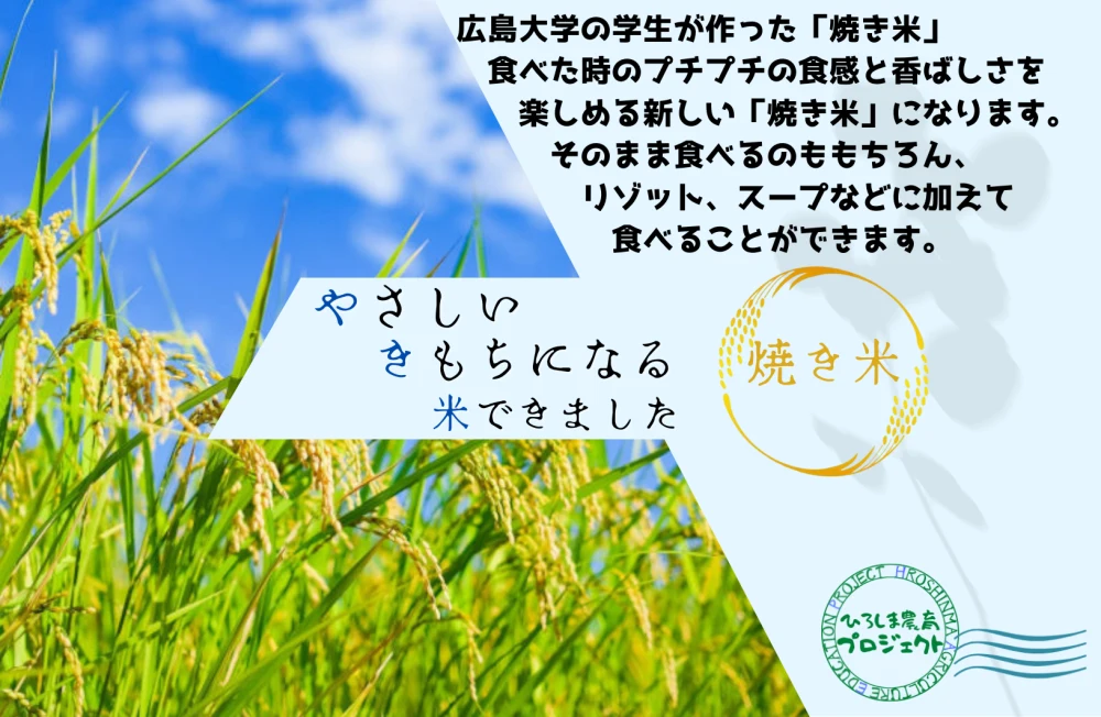 焼き米【優しい気持ちになるお米】