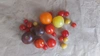 ミニトマトの宝石箱！ 農薬 化学肥料不使用