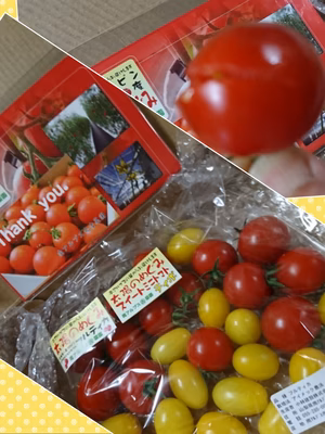 みんなの投稿の画像