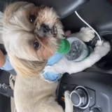 ずっこけいのやん