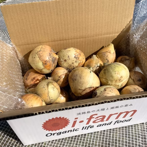 【淡路島産】農薬化学肥料不使用 玉ねぎ(七宝早生)5kg/10kg