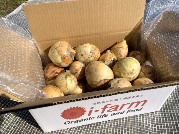 【淡路島産】農薬化学肥料不使用 玉ねぎ(七宝早生)5kg/10kg