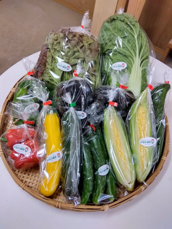 かねた農園