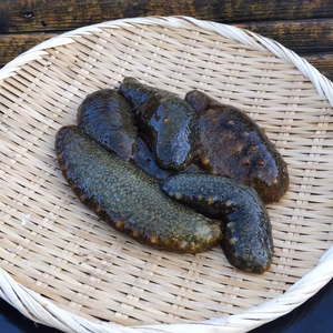 青ナマコ約１㌔