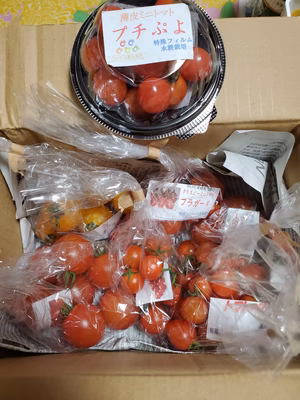 みんなの投稿の画像