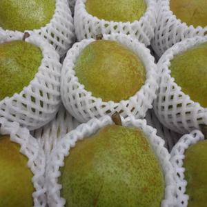 西洋梨「ラ・フランス」お徳用訳あり　3キロ箱　11個～13個入り