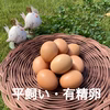 《新鮮・訳あり卵・数量限定》【レモンイエローの黄身】八ヶ岳のおいしい平飼いたまご