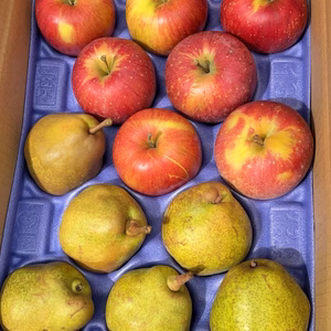 訳あり 2種SET シナノスイートとラフランス 3ｷﾛ箱 サイズバラバラ