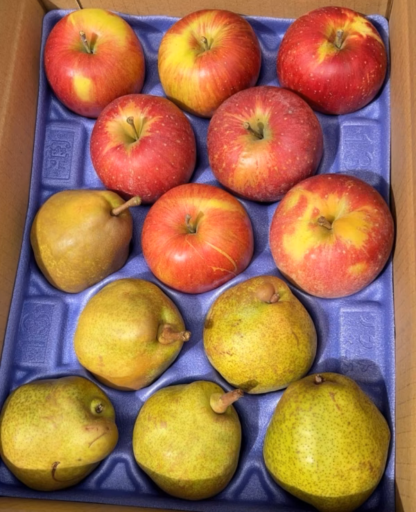 訳あり 2種SET シナノスイートとラフランス 3ｷﾛ箱 サイズバラバラ