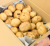 【ストックに最適！】農薬・化学肥料不使用☆M・L混在じゃがいも５㎏（男爵）