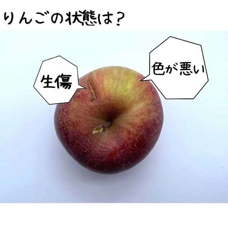 【かわいいサイズ】春待ちりんご（訳あり　2.7kg）減農薬栽培