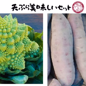 天ぷら美味しいセット！　さつまいも　薩摩芋　ロマネスコ