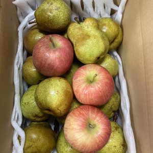 お得用　ラ•フランス　5キロバラ詰　約23-26個位入