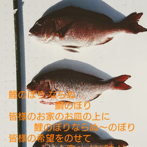 #5670プロジェクト 鯛のぼりセット