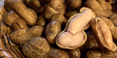 ピーナッツとは別の顔。茹で落花生の魅力に気づいてあげて