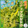 [クール便対応][ギフト対応]【スナップエンドウ】約1kg 甘い！豊橋産