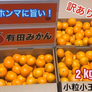 有田みかん　小粒小玉　2 kg（箱込）送料無料(´ε｀ )