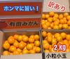 有田みかん　小粒小玉　2 kg（箱込）送料無料(´ε｀ )