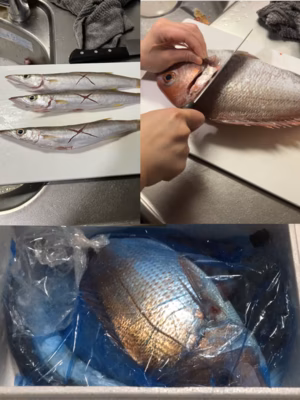 みんなの投稿の画像