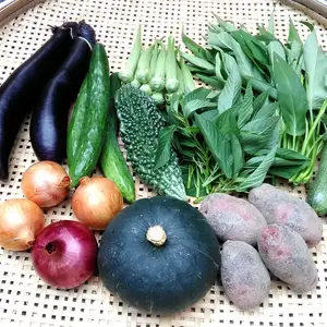 季節の野菜セット　Sサイズ(5～6種類)