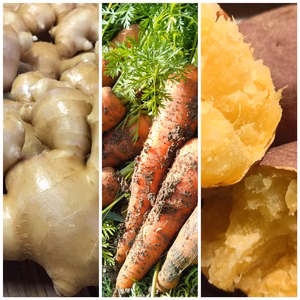 あったか野菜セット　【農薬・化学肥料 不使用】