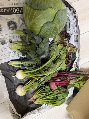 みんなの投稿の画像