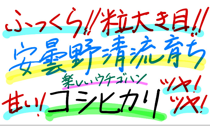 新米・令和5年産・2Lボトル×3安曇野自家製