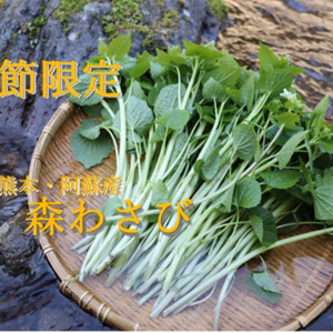 【季節限定】森の葉(花)わさび ※数量限定 ※天然育ち