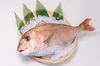 ふっくら肉厚！天草産「真鯛の切り身」《特殊冷凍》