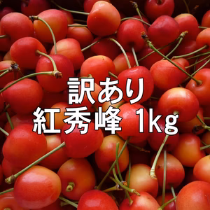 即日発送！本州用【クール便】訳あり 紅秀峰 1kg