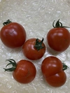 緊急事態‼️【訳あり】今回限りのお買い得‼️瀬戸内ぴちぴちトマト