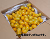 やめられないとまらない食べやすい＋ティポ＋クール便発送