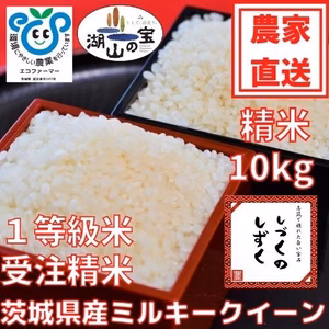 お米　白米　10㎏　茨城県産　ミルキークイーン　しづくのしずく
