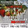べにほっぺ中粒～小粒をたっぷり1000g【クール便対応】【ワケアリ】