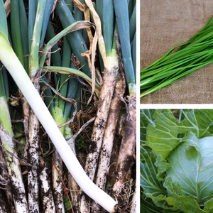 にがくてあまい第４話特別野菜セット 