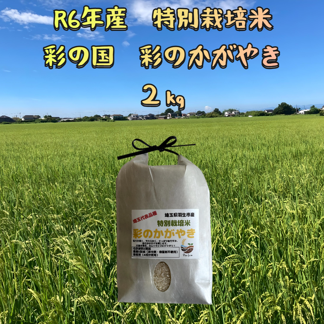 R6年産特別栽培米 彩の国 彩のかがやき 2㎏×1袋|白米の商品詳細 R6年産特別栽培米 彩の国 彩のかがやき 2㎏×1袋|白米の商品詳細