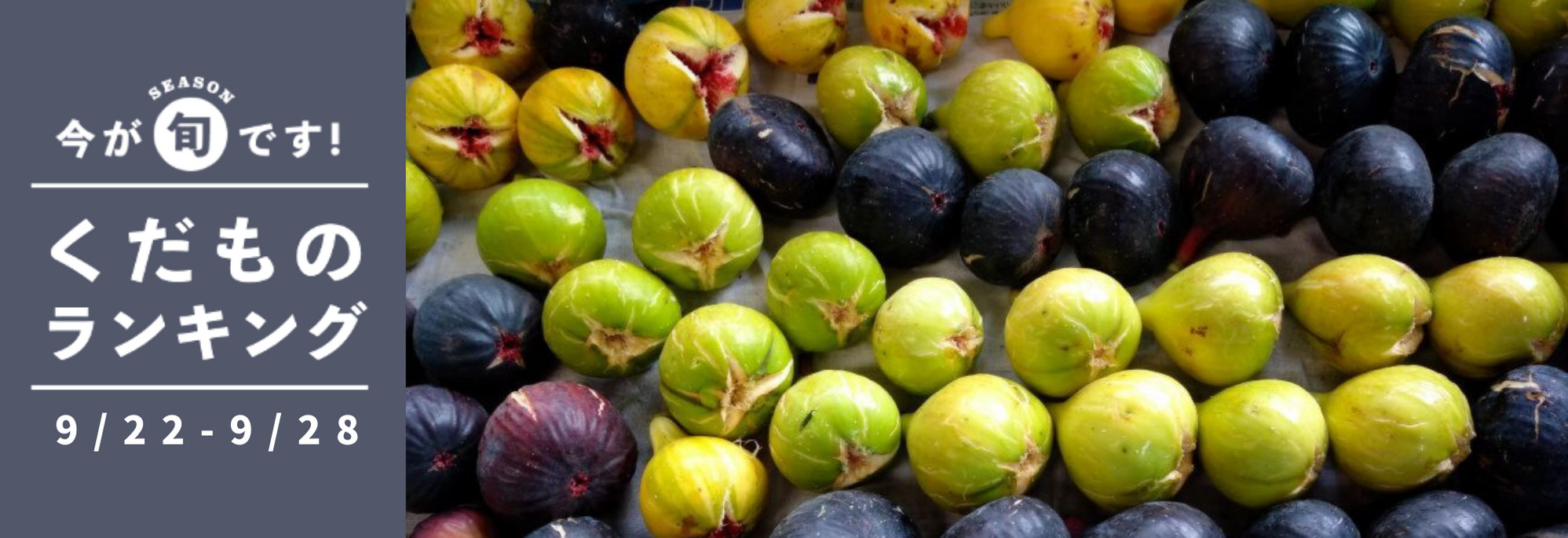 ポケットマルシェ 産地から旬の野菜 果物 魚を農家 漁師直送で