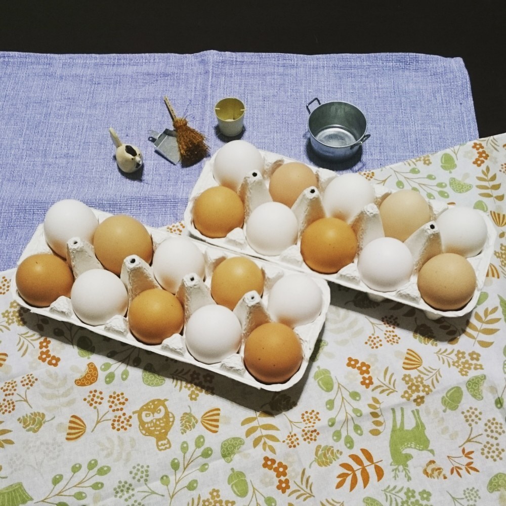 ご家庭まいにちパック 地鶏とレグホンの卵大容量シェアパック アニマルフォレストうつしの森 農家漁師直送のポケットマルシェ