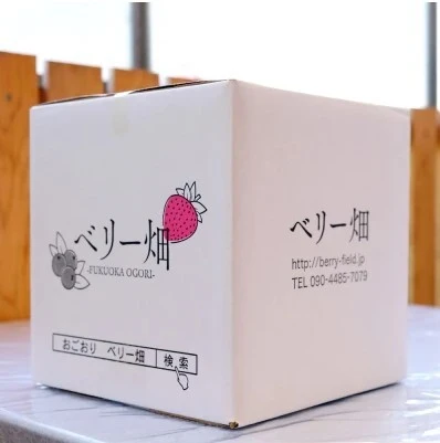 【朝採れ冷凍イチゴ】　500ｇ×4