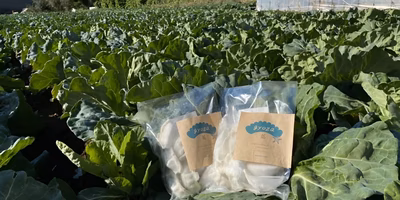 【つながるポケ○（マル）日記】廃棄間近のアフロきゃべつ餃子400袋を救え！ ー農家・坂尾英彦さんー