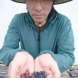 古岩井 厚志 | maison KOIWAI(メゾン コイワイ)