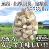 【農薬不使用のプレミアム品！】青森県産にんにく最高級品種ホワイト６片