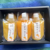 長崎県産！柑橘スムージージュレセット