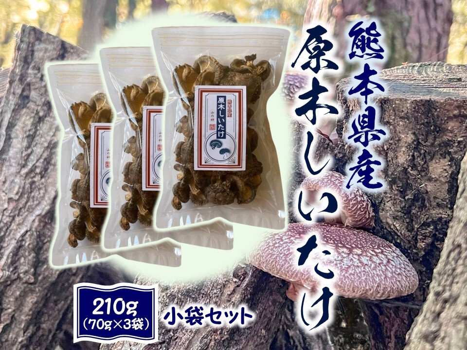 うまさ凝縮！熊本県産原木乾燥しいたけ140g～480g｜しいたけの商品