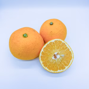 【家庭用】プリッと食感！ほのかな苦みがクセになる八朔