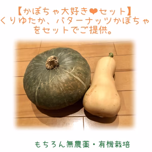 冷やしたスープは濃厚　かぼちゃ大好きさん2種セット