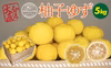 【期間限定】これからの季節の風味には柚子（ユズ・ゆず）約５kg